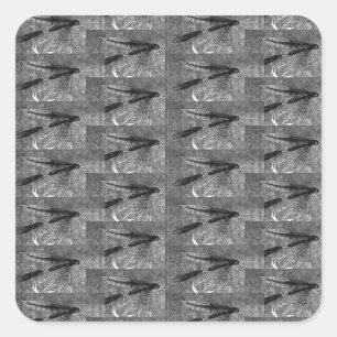 Trout, bass, and crappie three fish favourites squ square sticker