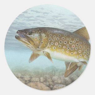 Trout, brook classic round sticker