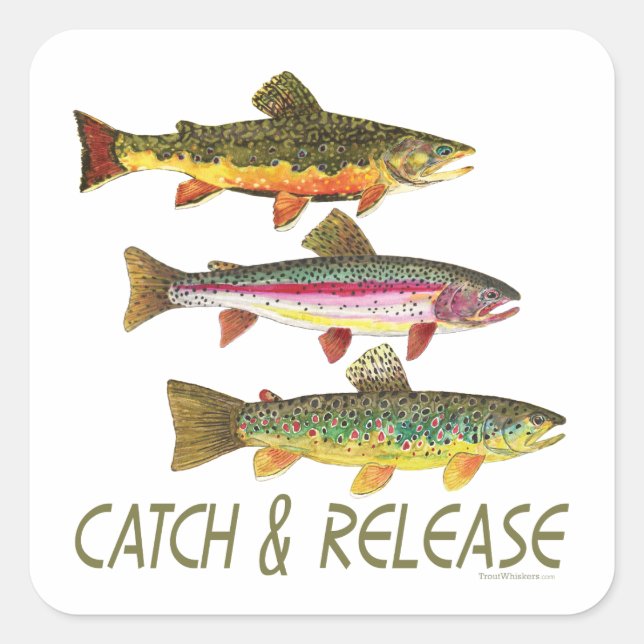 Trout Catch and Release Square Sticker (Front)