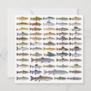 Trout, Char, Grayling, Hucho and Whitefish Group Card