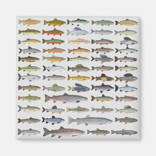 Trout, Char, Grayling, Hucho and Whitefish Group Magnet