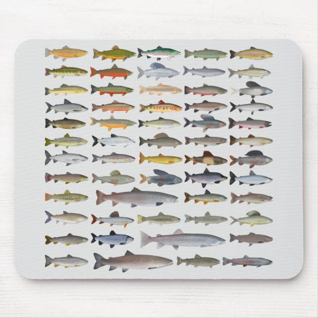 Trout, Char, Grayling, Hucho and Whitefish Group Mouse Pad (Front)