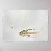 Trout chasing a fisherman's fly