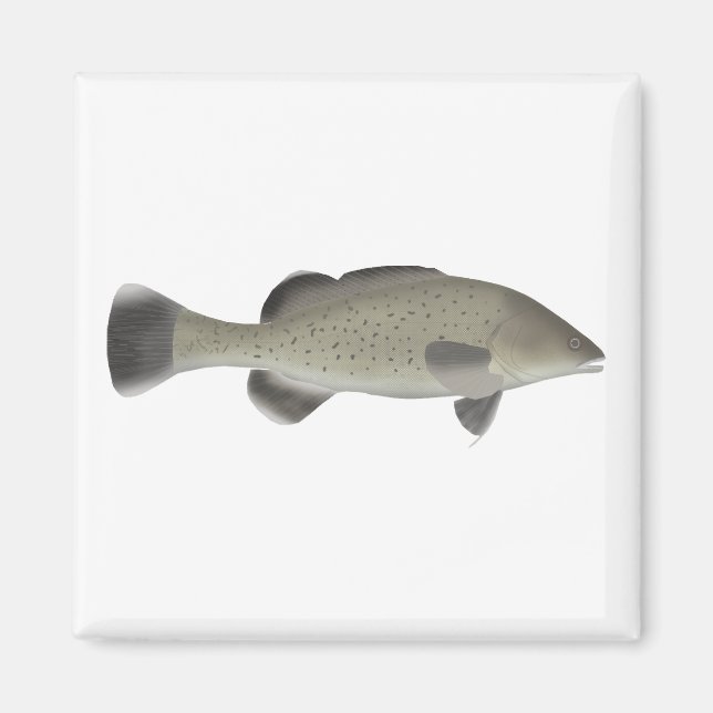 Trout Cod Magnet (Front)