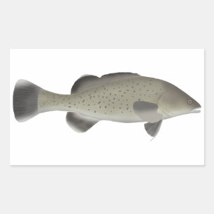 Trout Cod Rectangular Sticker