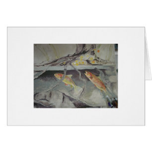 trout feeding