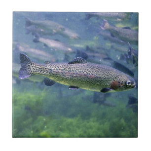 Trout fishermens gifts ceramic tile