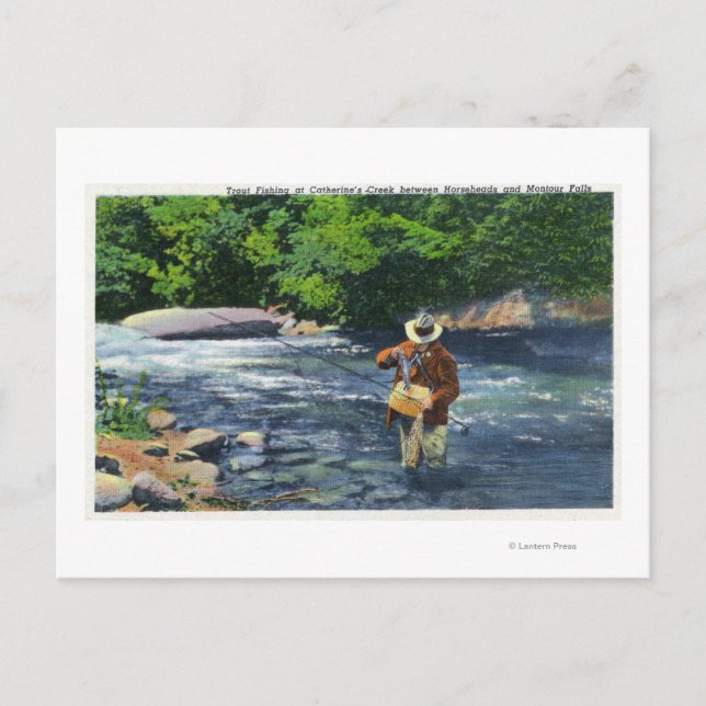 Trout Fishing at Catherine's Creek Postcard (Front)