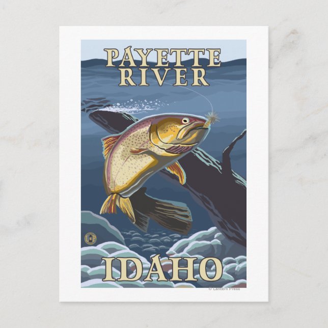 Trout Fishing Cross-Section - Payette River, Postcard (Front)