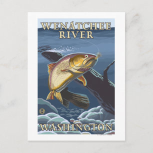 Trout Fishing Cross-Section - Wenatchee River, W Postcard