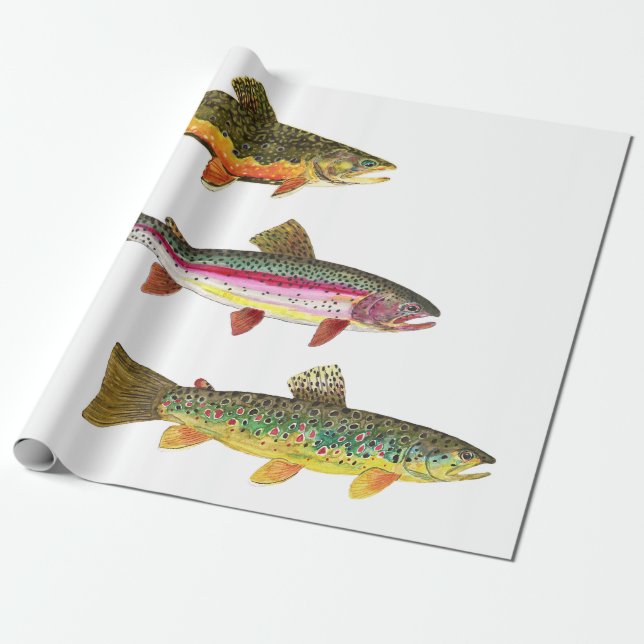 Trout Fly Fishing - Brook, Brown, Rainbow Wrapping Paper (Unrolled)