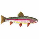 Trout Fly Fishing Photo Sculpture Magnet<br><div class="desc">.</div>