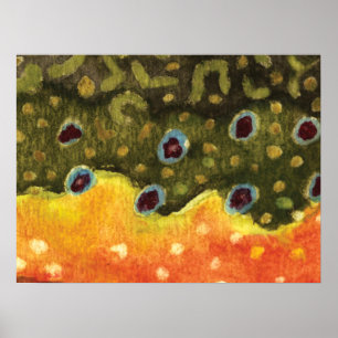 Trout Fly Fishing Poster