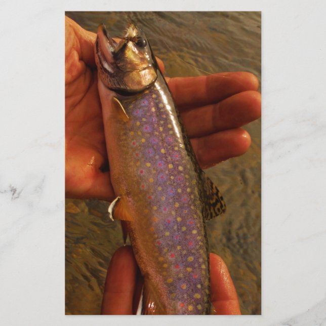 Trout in Hands (Front)