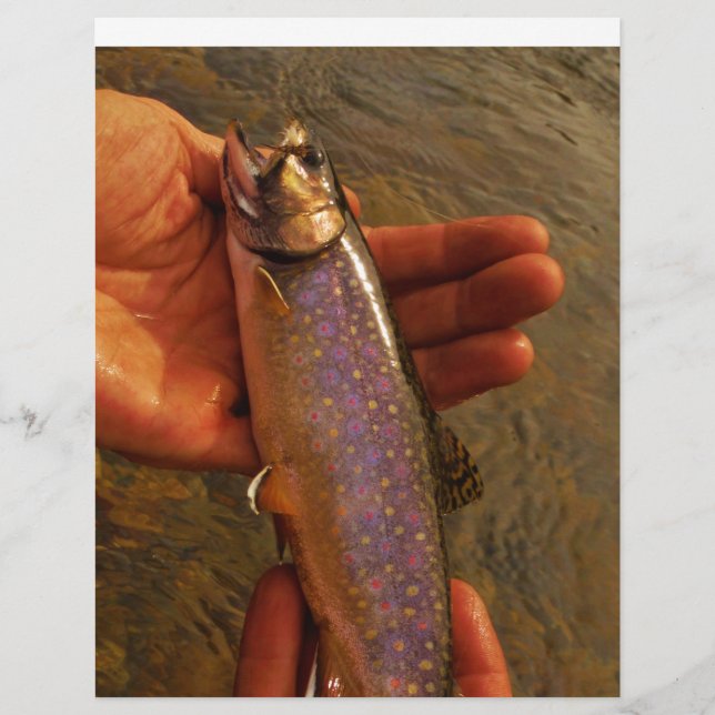 Trout in Hands (Front)
