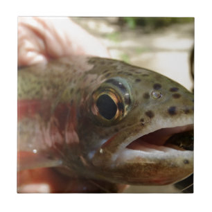 Trout in Hands Ceramic Tile