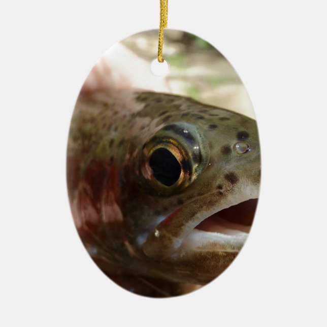 Trout in Hands Ceramic Tree Decoration (Front)