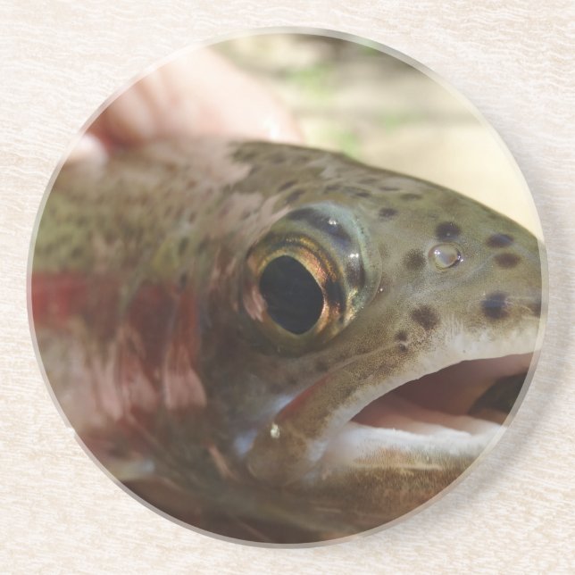 Trout in Hands Coaster (Front)