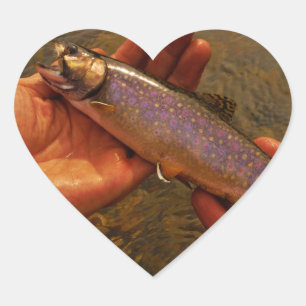 Trout in Hands Heart Sticker