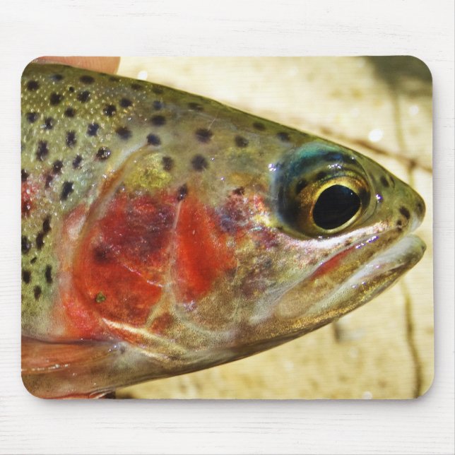 Trout in Hands Mouse Pad (Front)