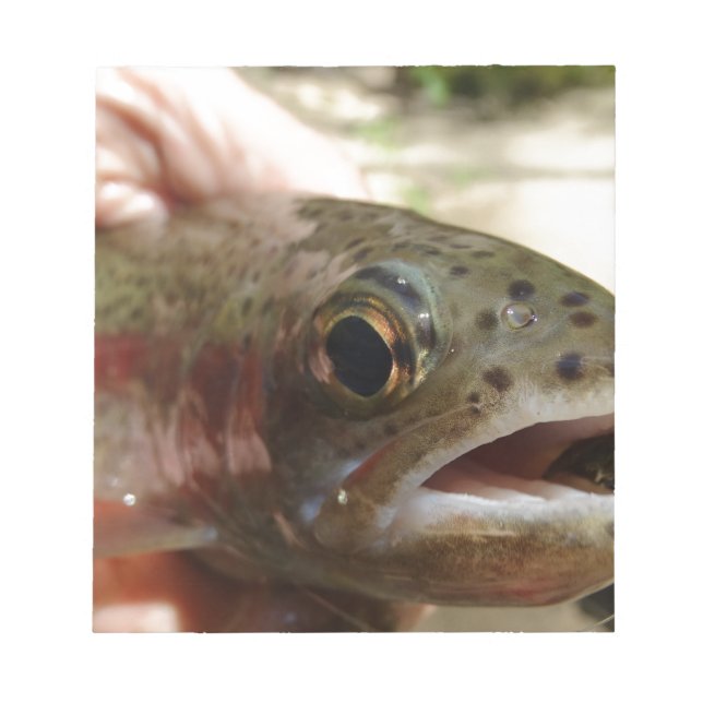 Trout in Hands Notepad (Front)