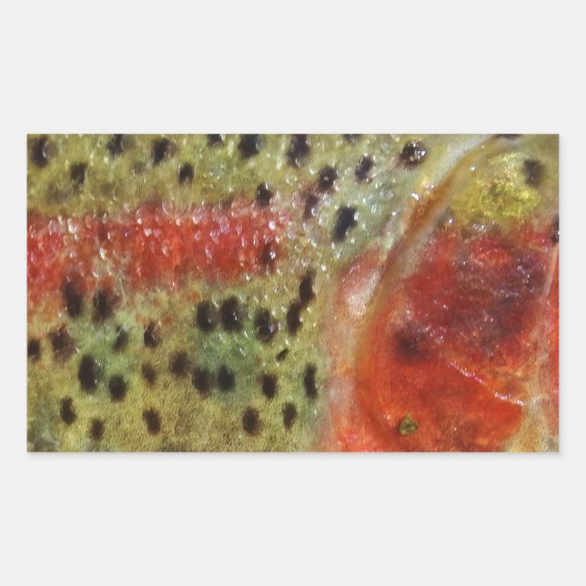 Trout in Hands Rectangular Sticker (Front)