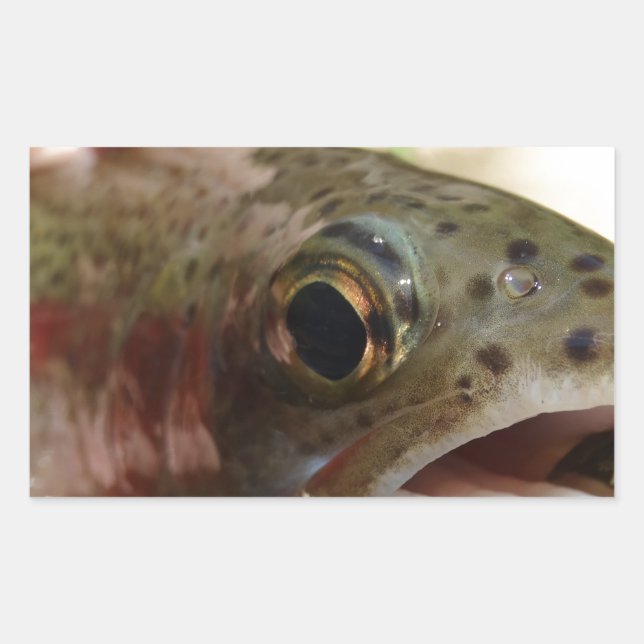 Trout in Hands Rectangular Sticker (Front)