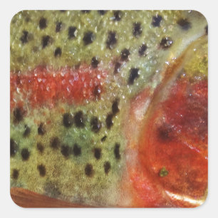 Trout in Hands Square Sticker