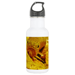 Trout in stream 532 ml water bottle