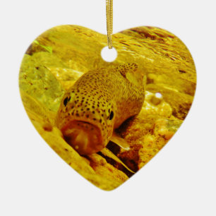 Trout in stream ceramic ornament