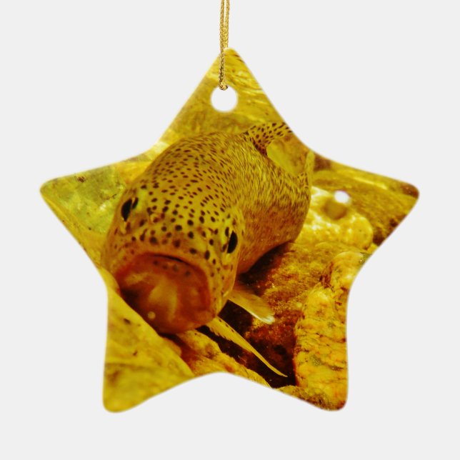 Trout in stream ceramic tree decoration (Front)