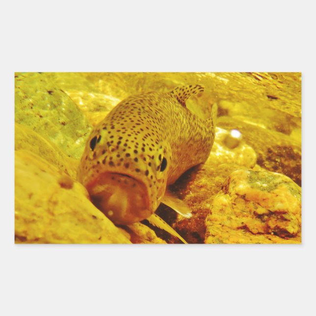 Trout in stream rectangular sticker (Front)