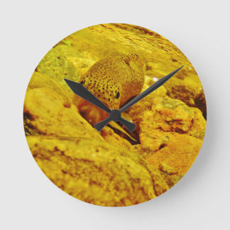 Trout in stream round clock