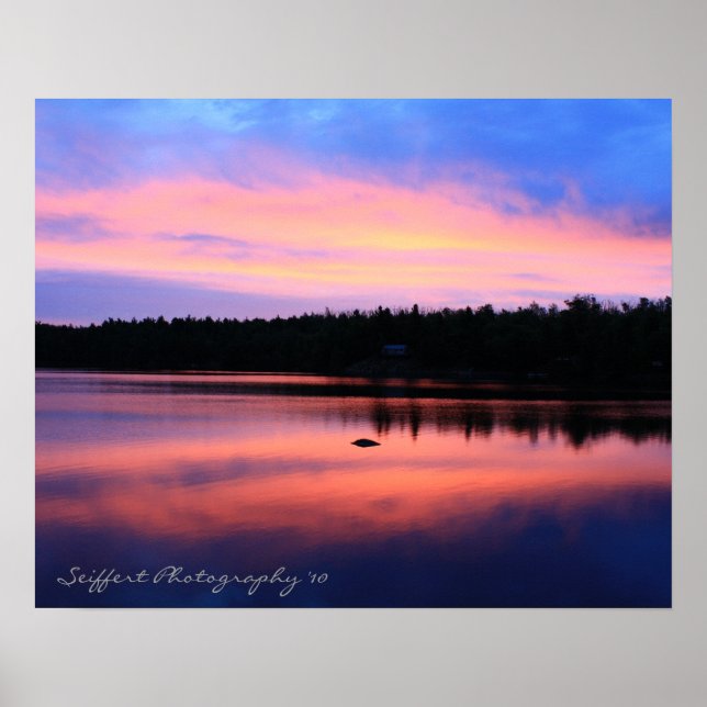 Trout Lake Series Poster (Front)