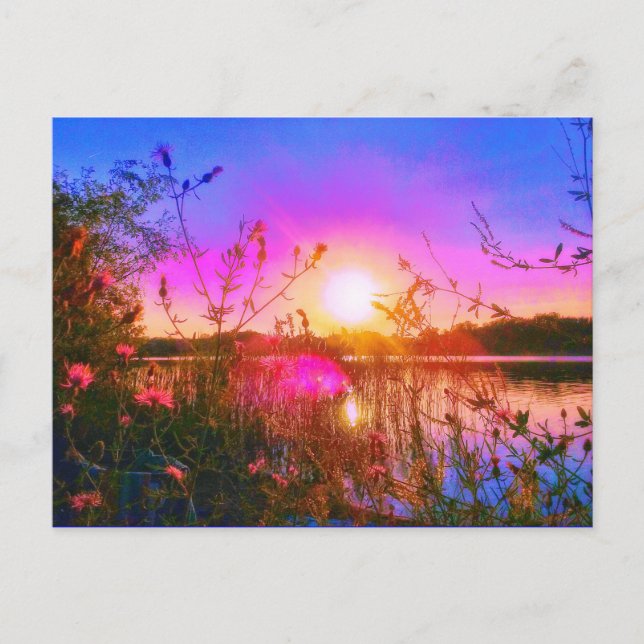 TROUT LAKE SUN POSTCARD (Front)