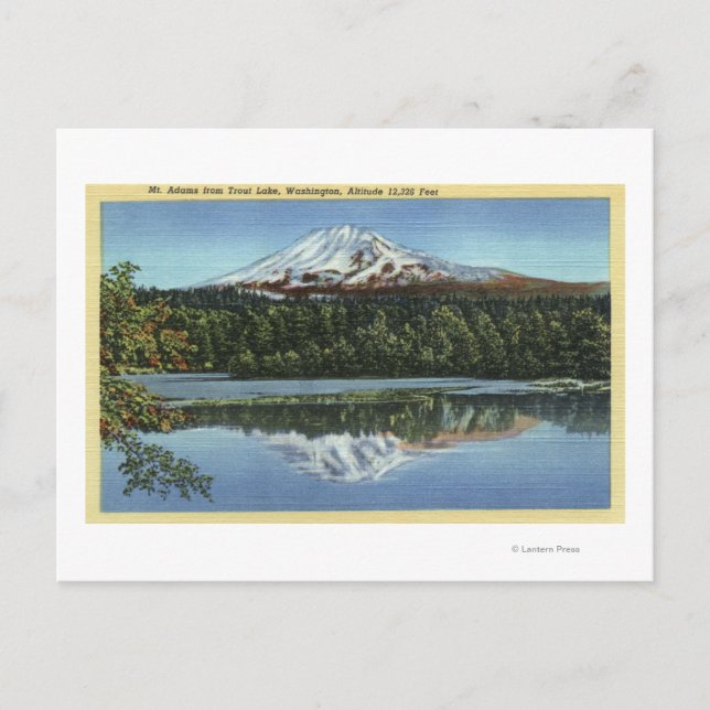 Trout Lake, Washington Postcard (Front)