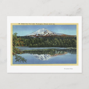 Trout Lake, Washington Postcard