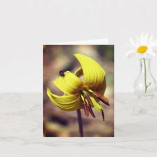 Trout Lily And Friend Floral Note Card