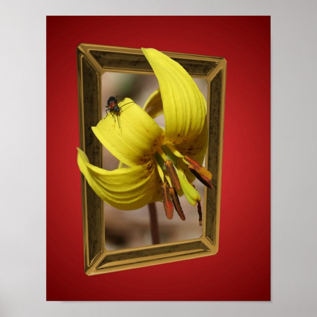 Trout Lily Flower Out Of Bounds Art Poster (Front)