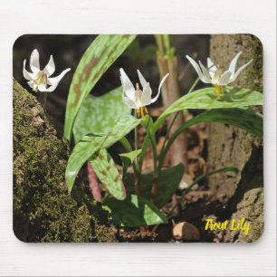 Trout Lily Mouse Pad