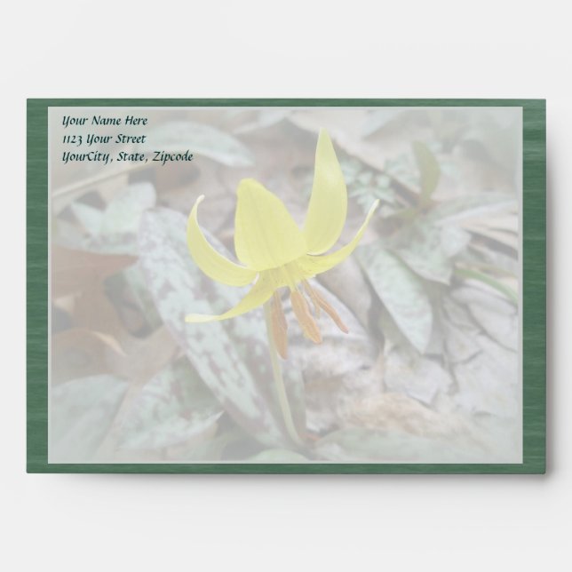 Trout Lily Wildflower - Erythronium americanum Envelopes (Front)
