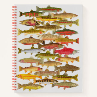 Trout Notebook