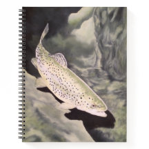 Trout Sketchbook