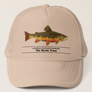 . TRUCKER HAT