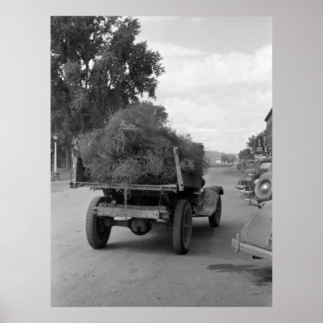 Truckload of Tumbleweed, 1939 Poster (Front)