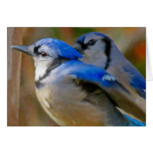 True Blue - Birds