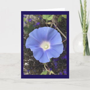 True Blue Morning Glory Card