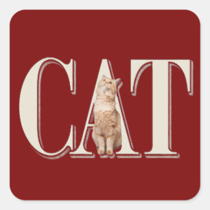 True Cat Love Square Sticker