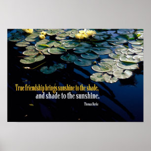 True Friendship Poster