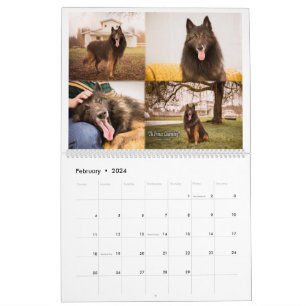 True Knight Belgian Tervuren dog/puppy Calendar